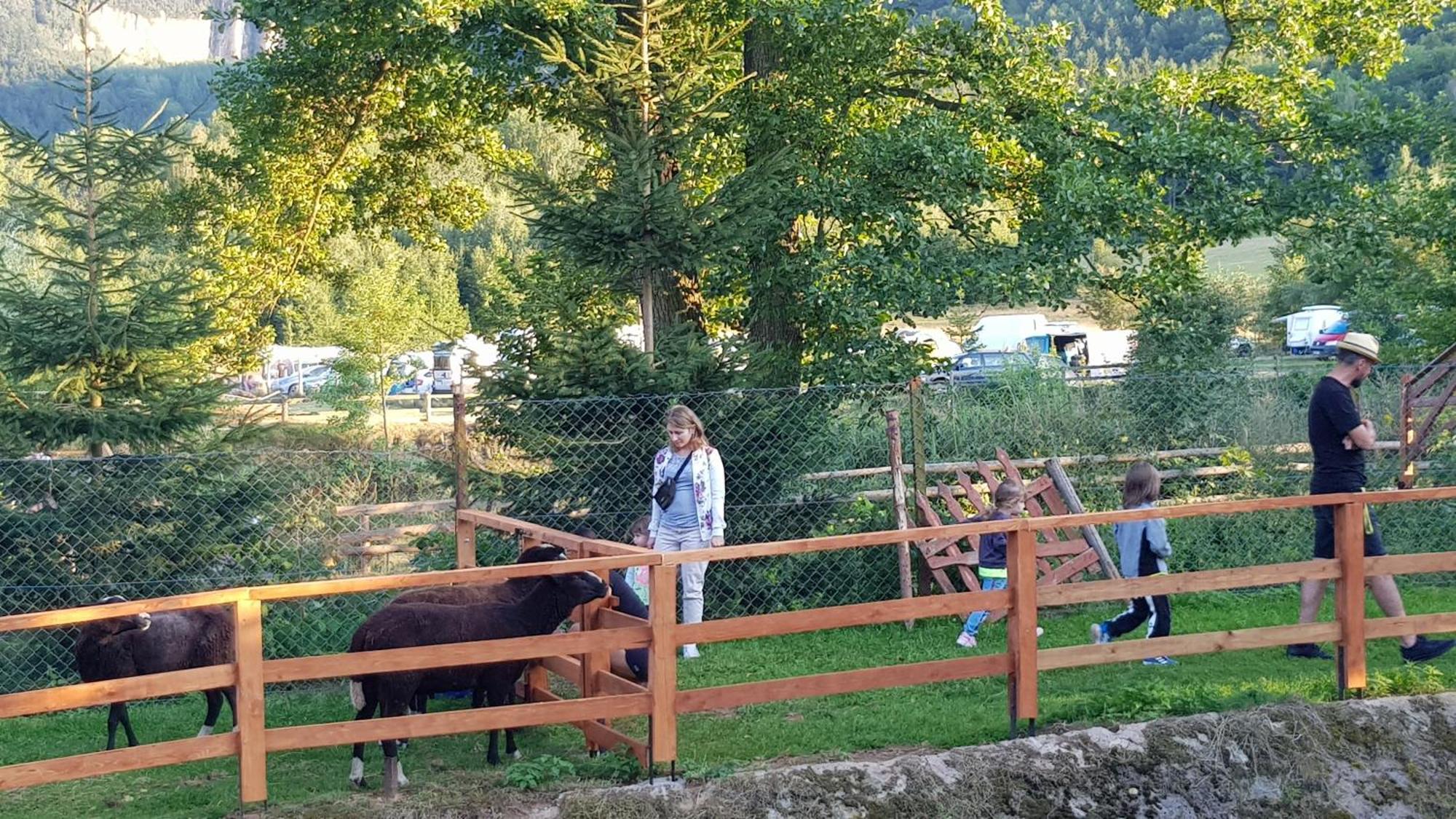 Camper Park * Radkow