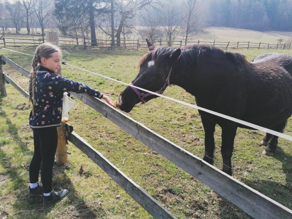 Camper Park Bauernhof Radkow